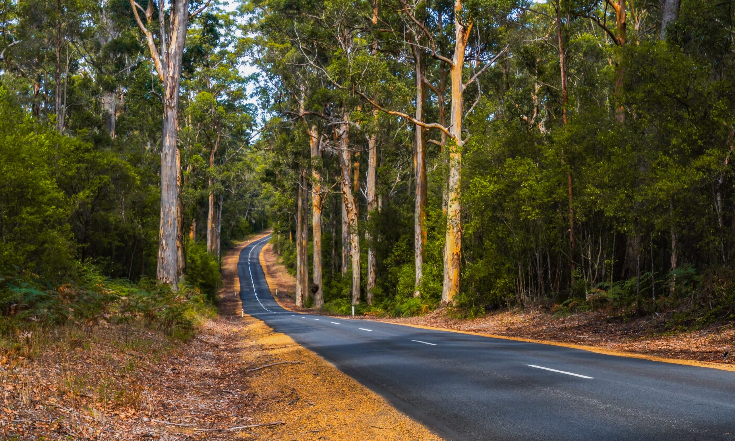 Manjimup Plunkett Homes